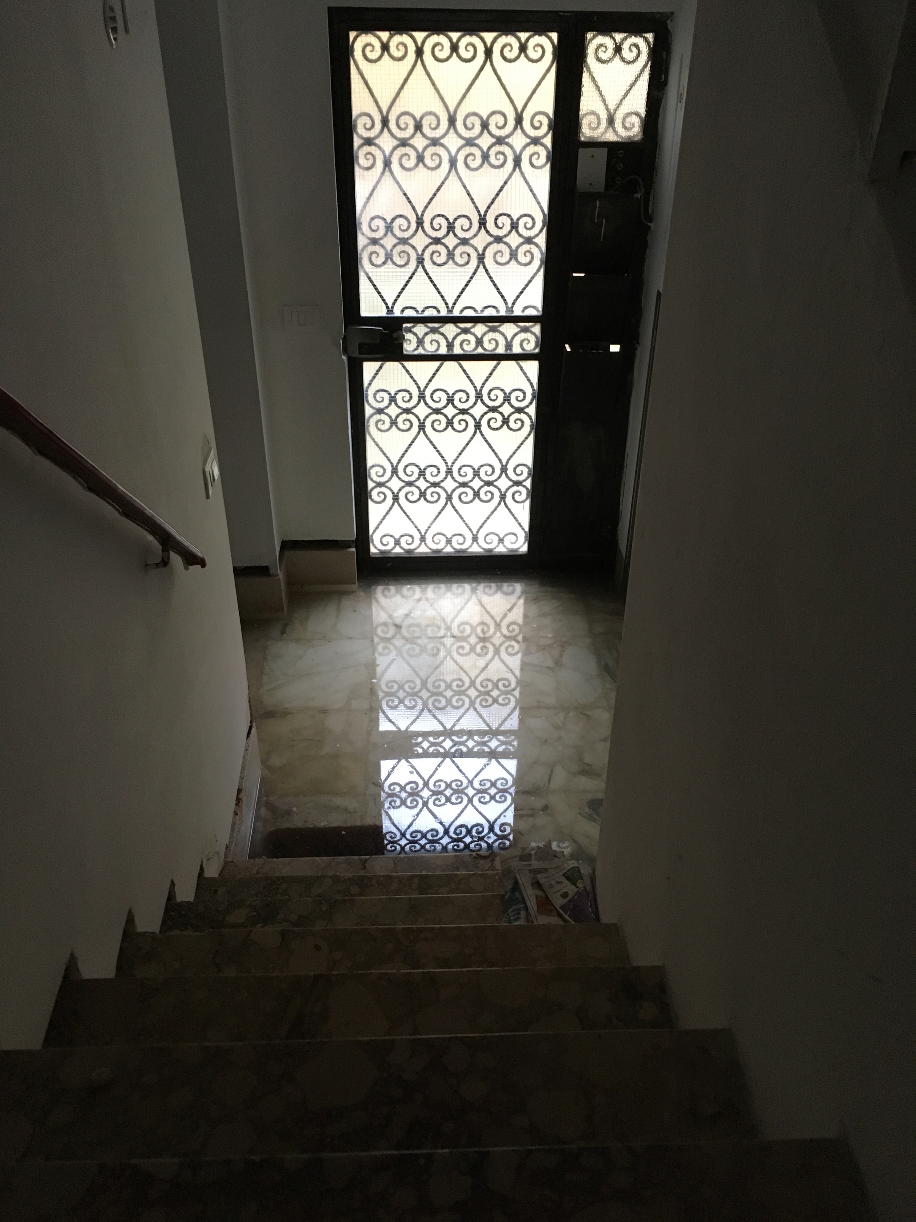 8 de gang the morning after.jpg